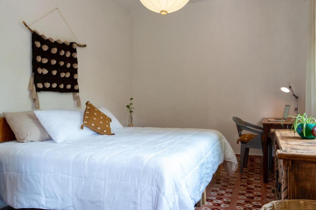 Qhia Work & Stay Coliving & Coworking - 2