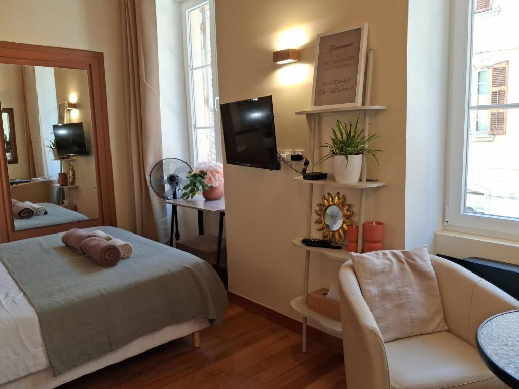 Studio rénové au cœur de Chambéry - 3