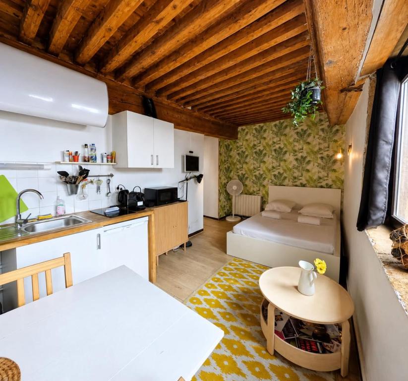 Charming 21m studio - Opéra & Terreaux Lyon - 3