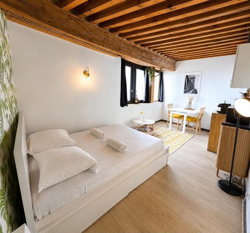 Charming 21m studio - Opéra & Terreaux Lyon - 4