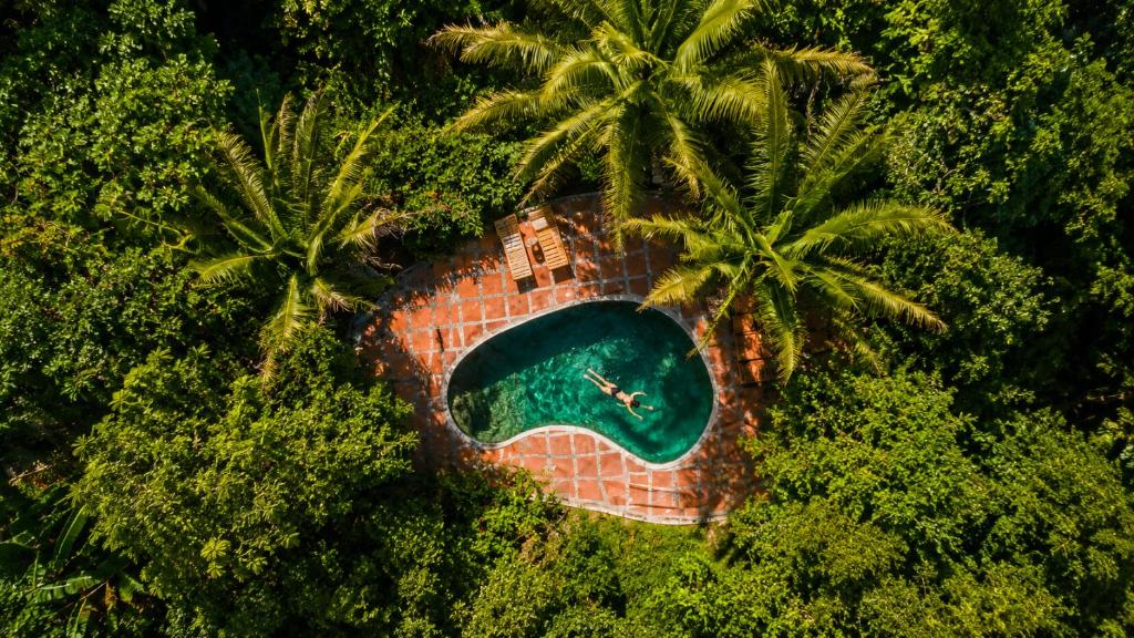 Finca Carpe Diem Ecolodge - 4