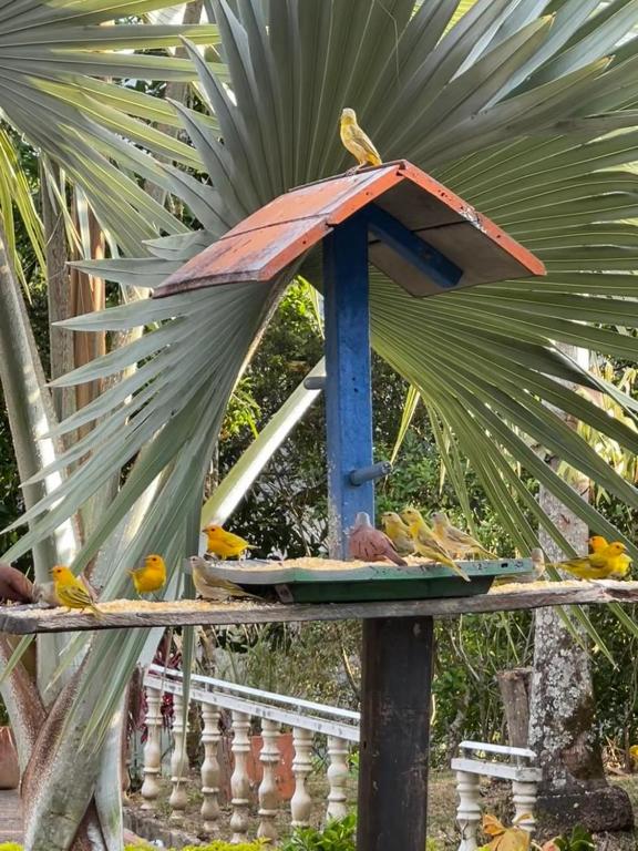 Finca La Pomarosa Style- Nature, pool and relaxation - 3