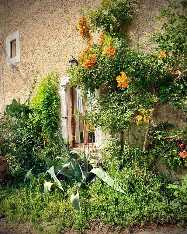 Le Ramounet - 2