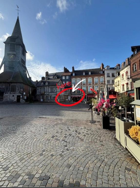 la canopée - Place Sainte-Catherine - 2