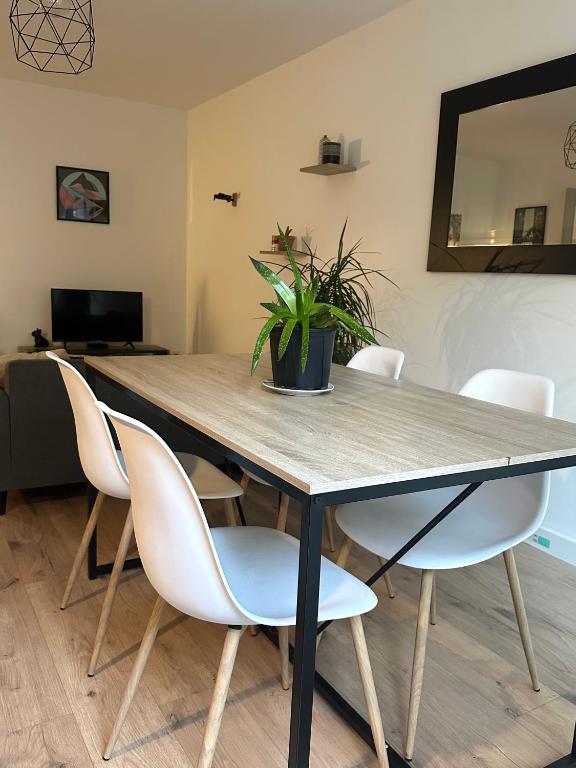 Appartement Calme avec Clim, Balcon et Parking Ovalie - 4