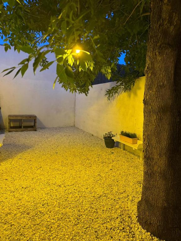 La Casa de Ignacia - 5