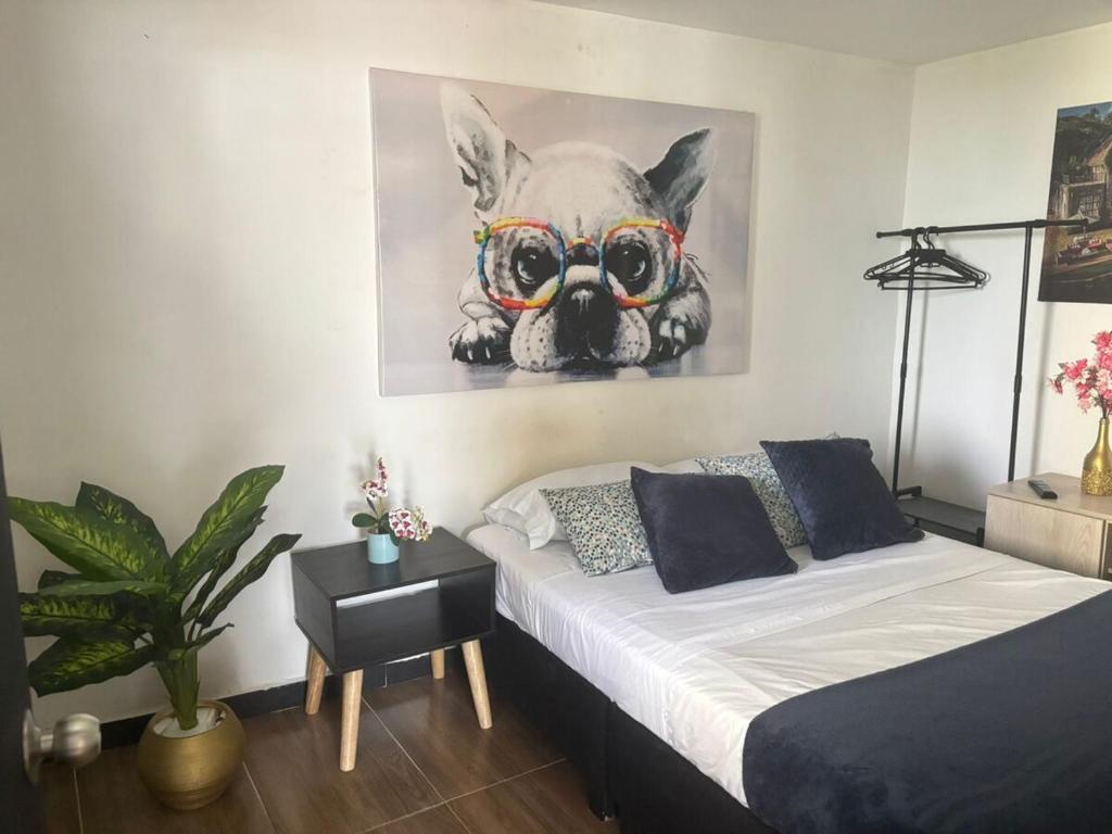 Hermoso apartamento Ibague 403 - 5
