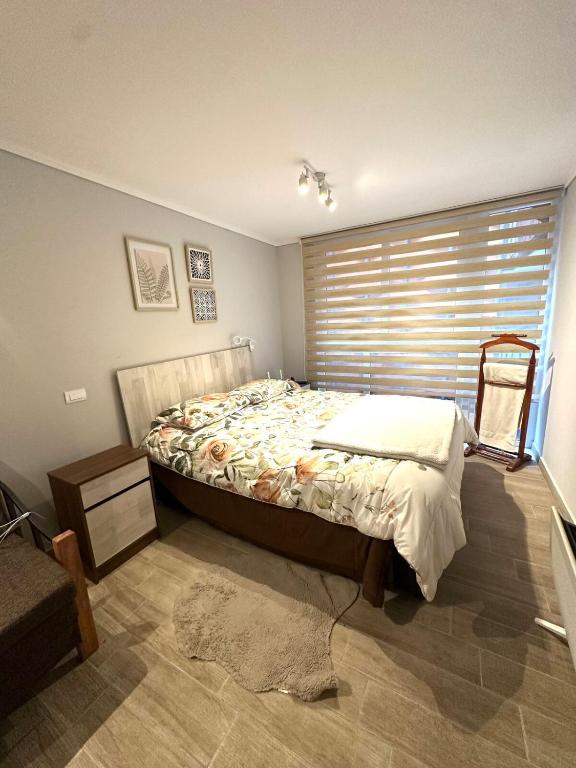 Apartment in downtown Santiago, Rondizoni Metro - 4