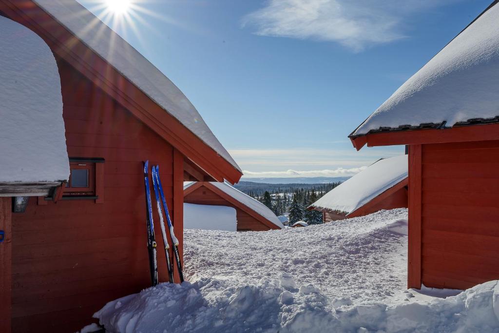 Nordseter Hytter photo