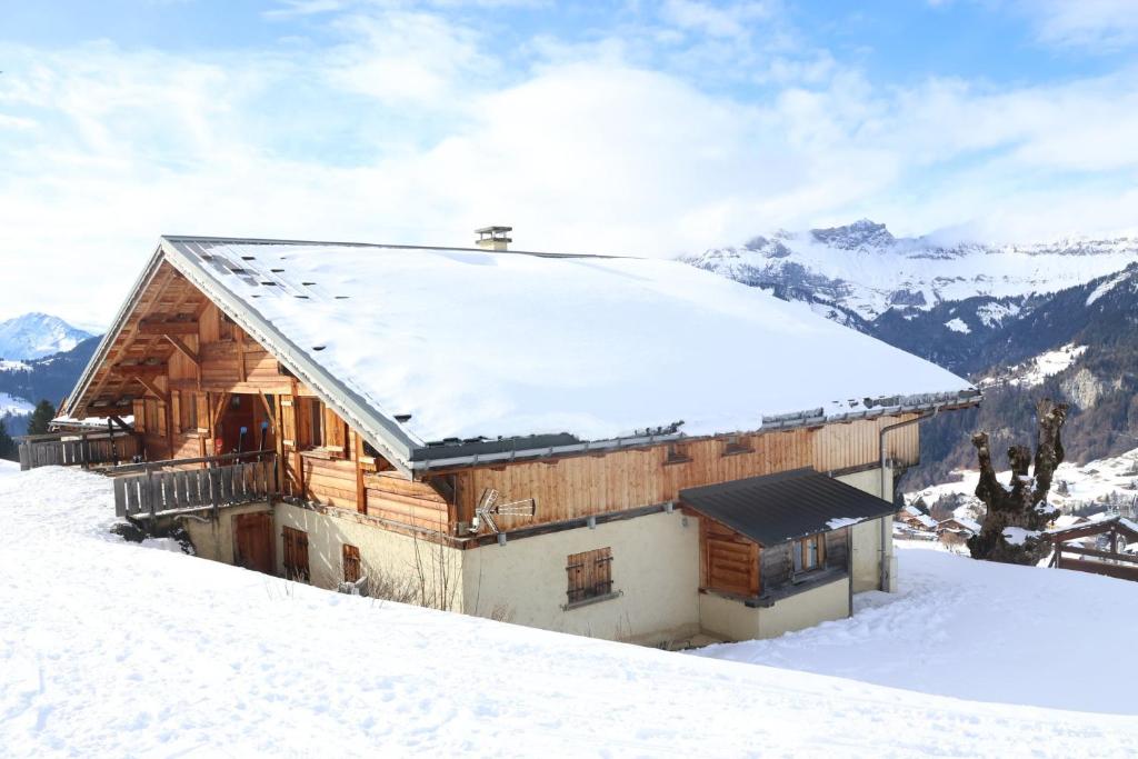 Le Chalet des pistes - cœur de l'Espace Diamant - 4