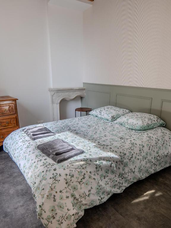 Appartement de charme - Cœur de la Doutre - Angers - 4 à 6 personnes - 4