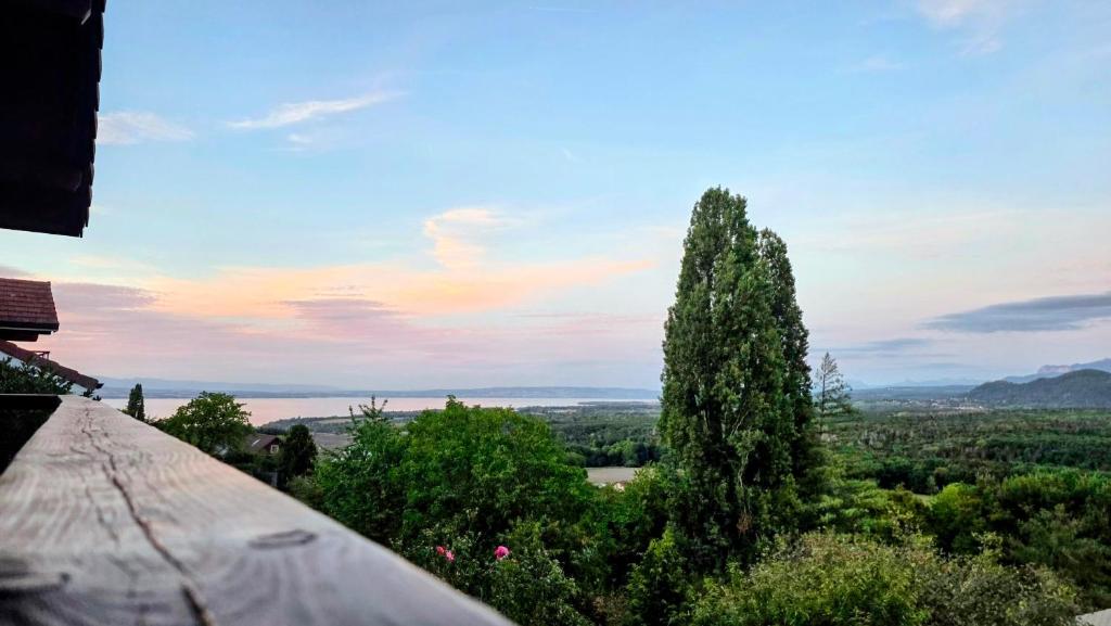 AKHET Villa panoramique avec vue Léman et Alpes - 2