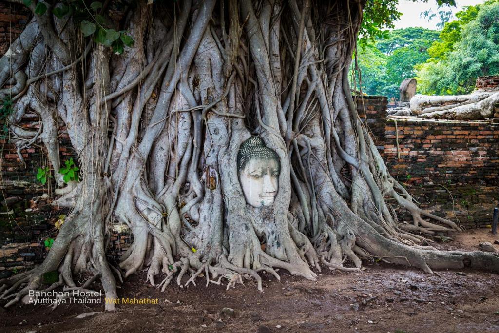 Nearby attraction