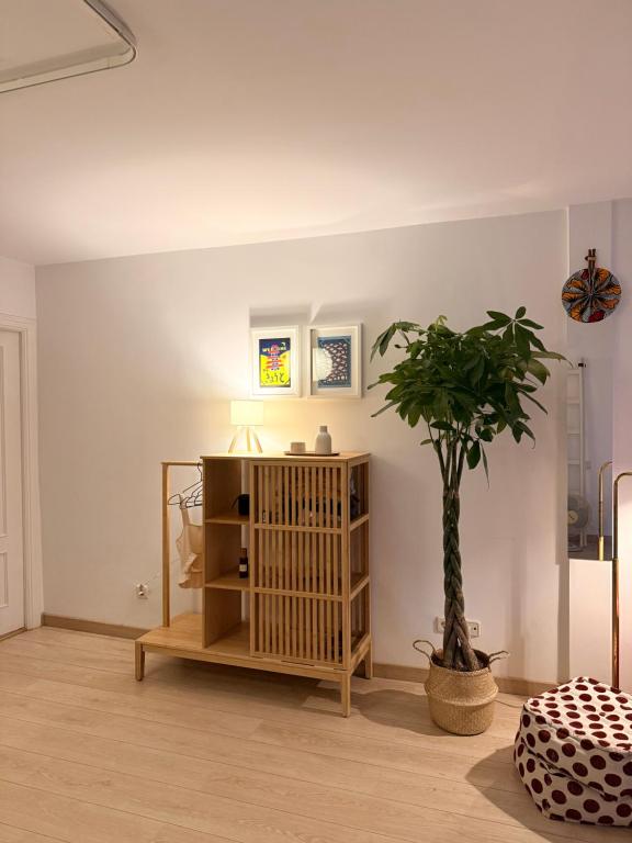 Lovely studio con balconcitos - 5