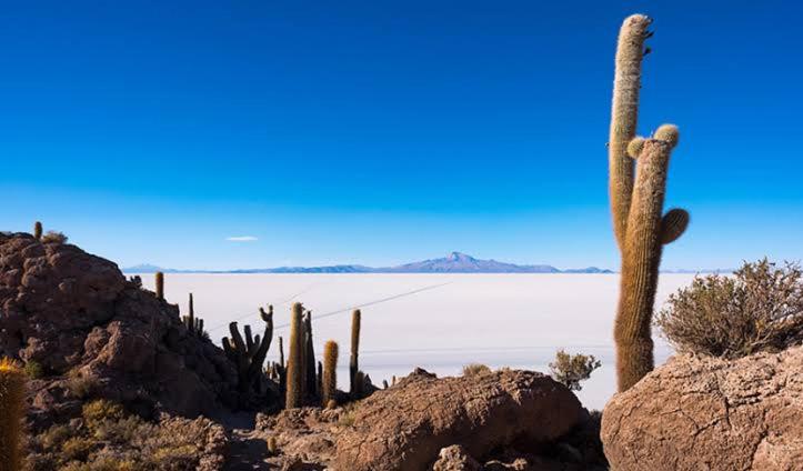 Hostal Terra Sal - Bed, Breakfast, Garage & Salar de Uyuni Tours - 4