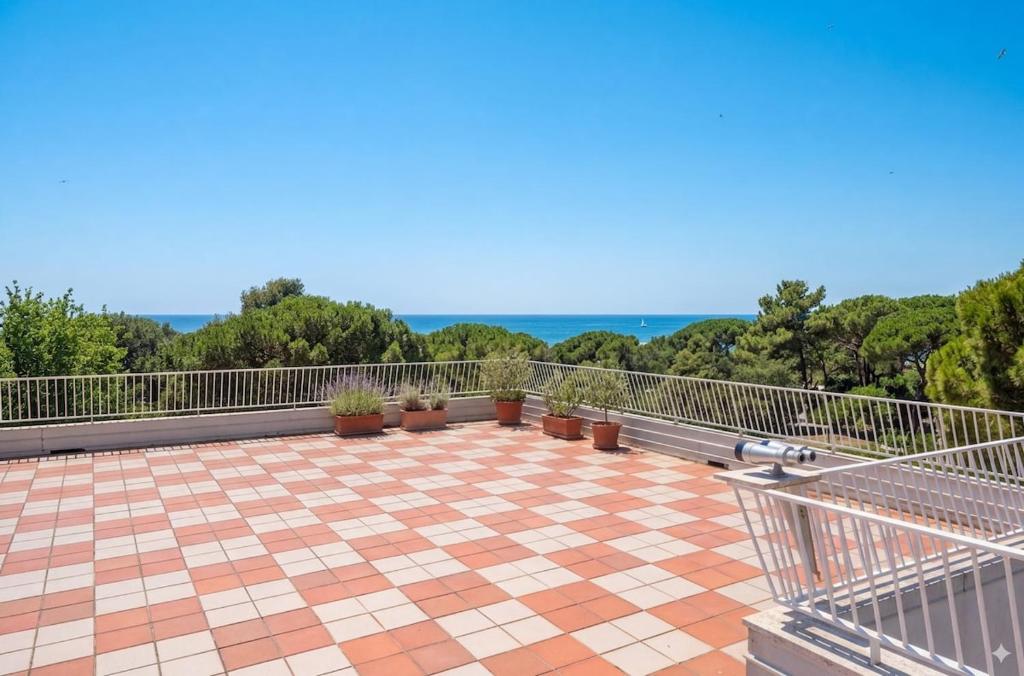 Oasi Pineda sul Mare - 2