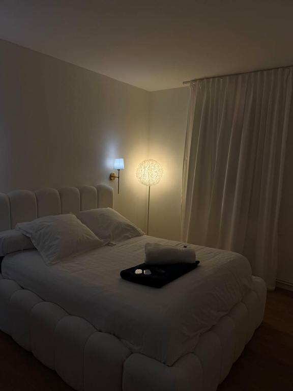 Appartement T3, centre,clim et parking - 3