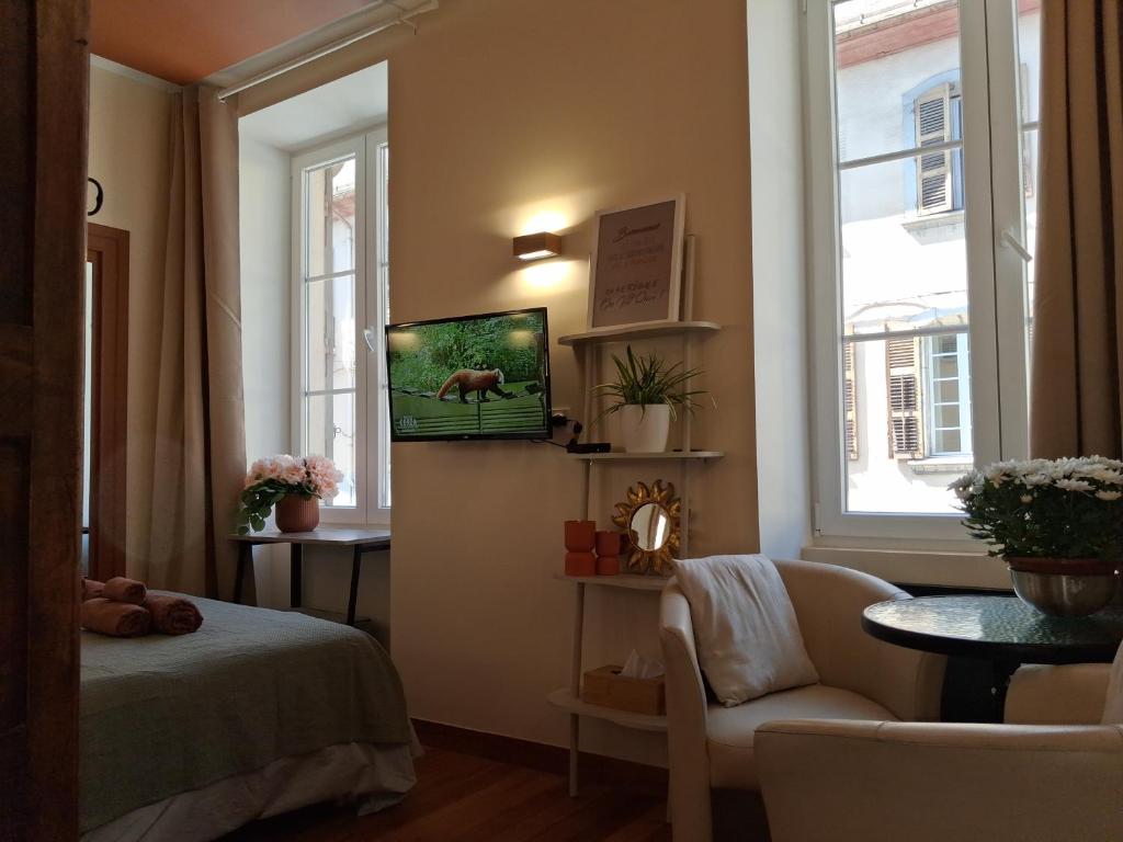Studio rénové au cœur de Chambéry - 2