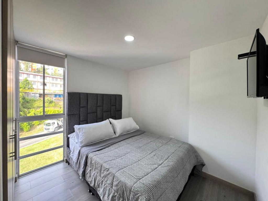 Urban 402 - 3