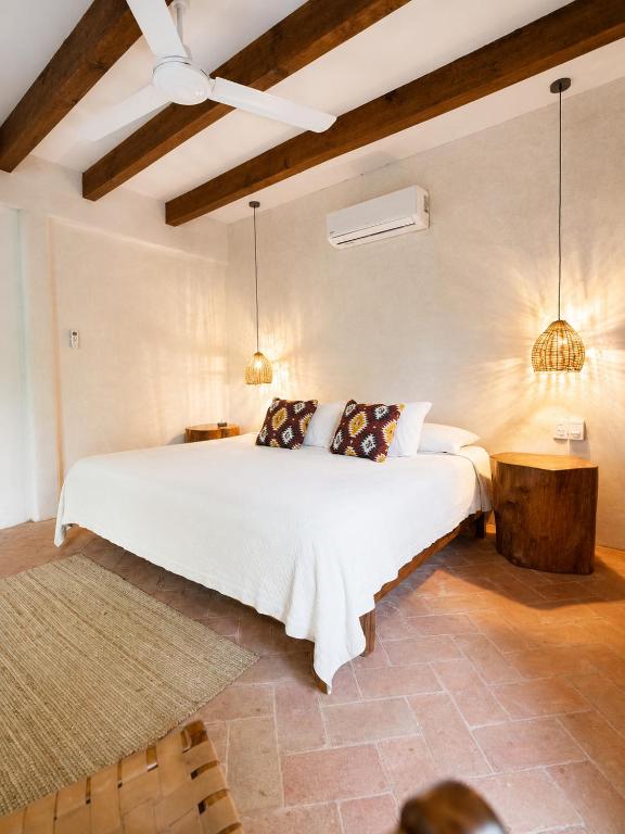 Casa Coconut - 2