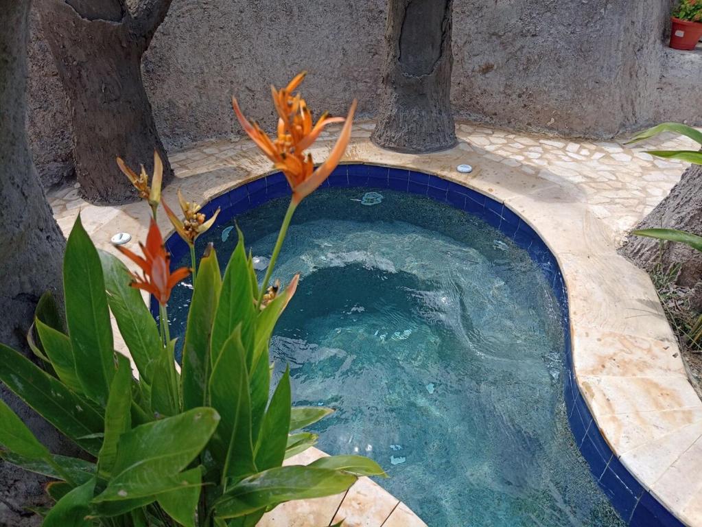 Wonderful glamping with pool 2 - 5