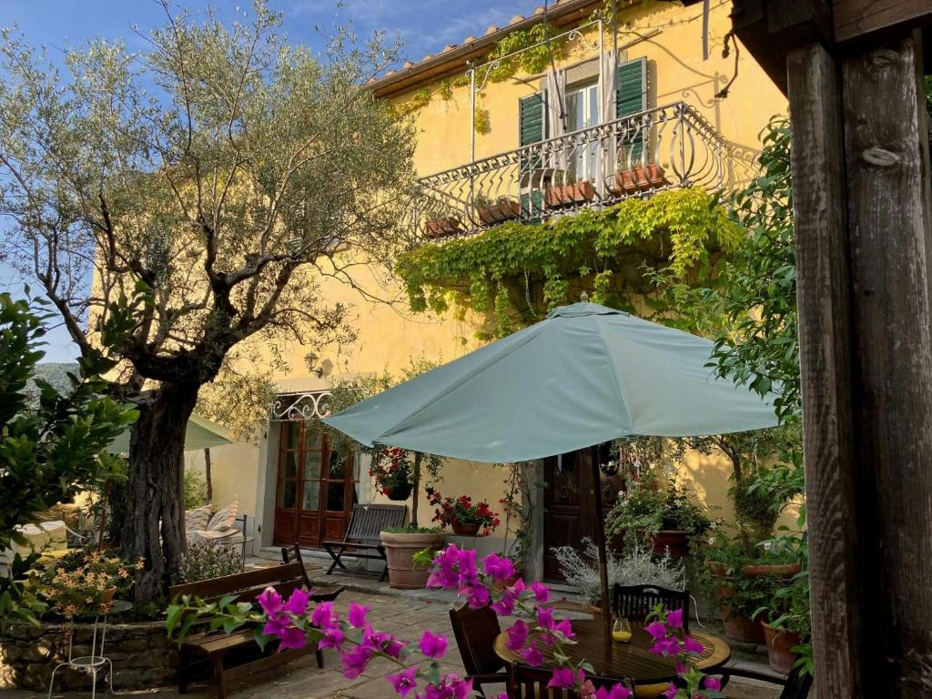 Big Villa with pool in the Cortona countryside - 2