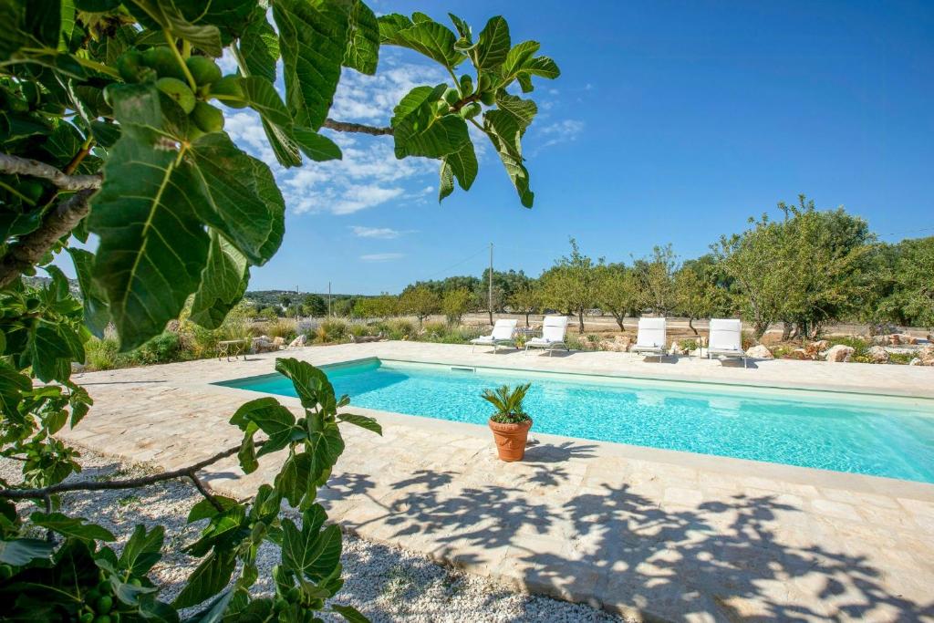 Villa among olive trees private pool and patio - 2