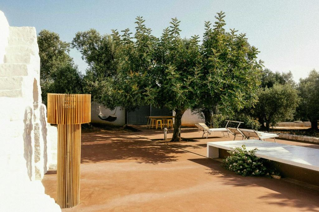 Trullo with courtyard and olive tree in Puglia - 2
