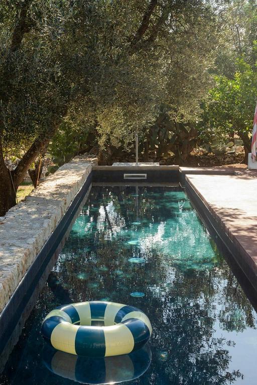 Trullo with courtyard and olive tree in Puglia - 3