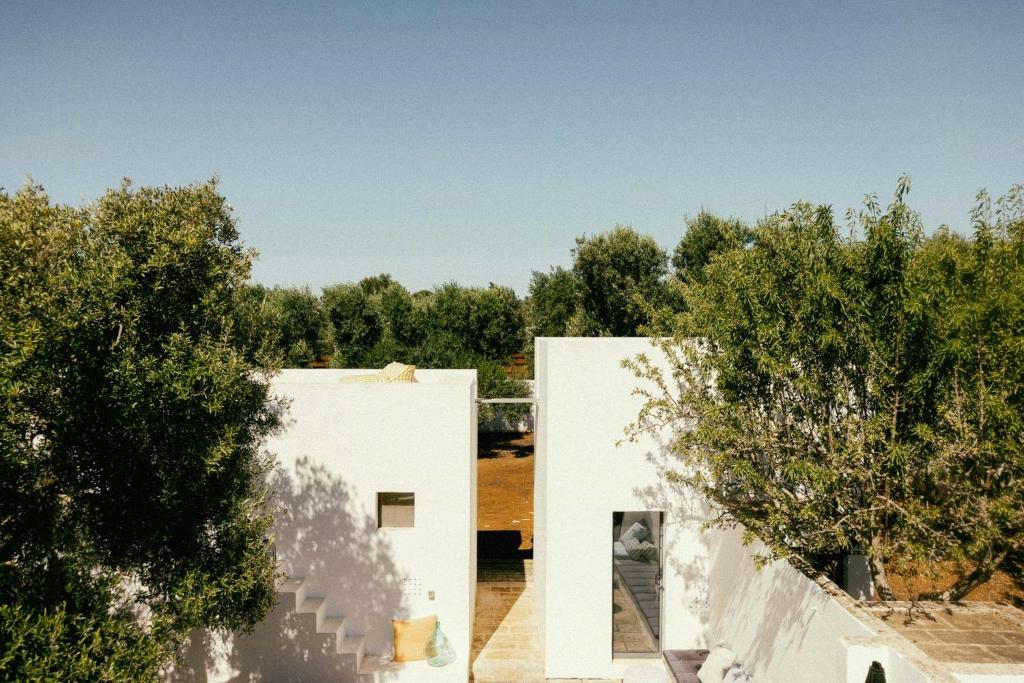 Trullo with courtyard and olive tree in Puglia - 4