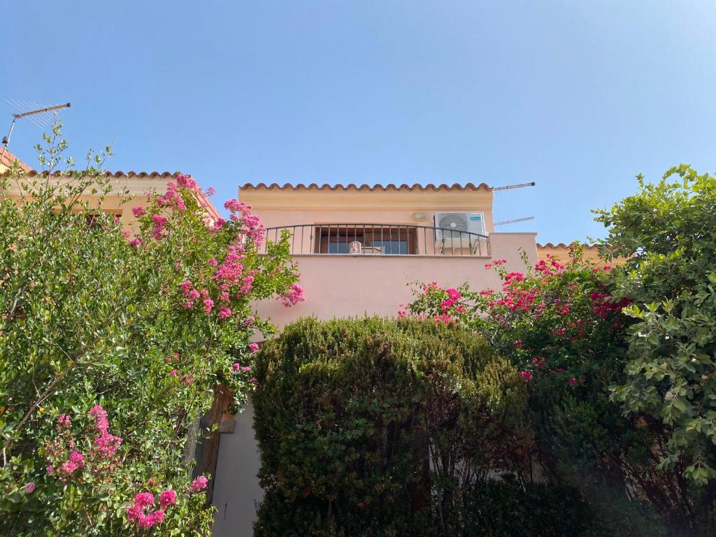 Casa Marta - 1