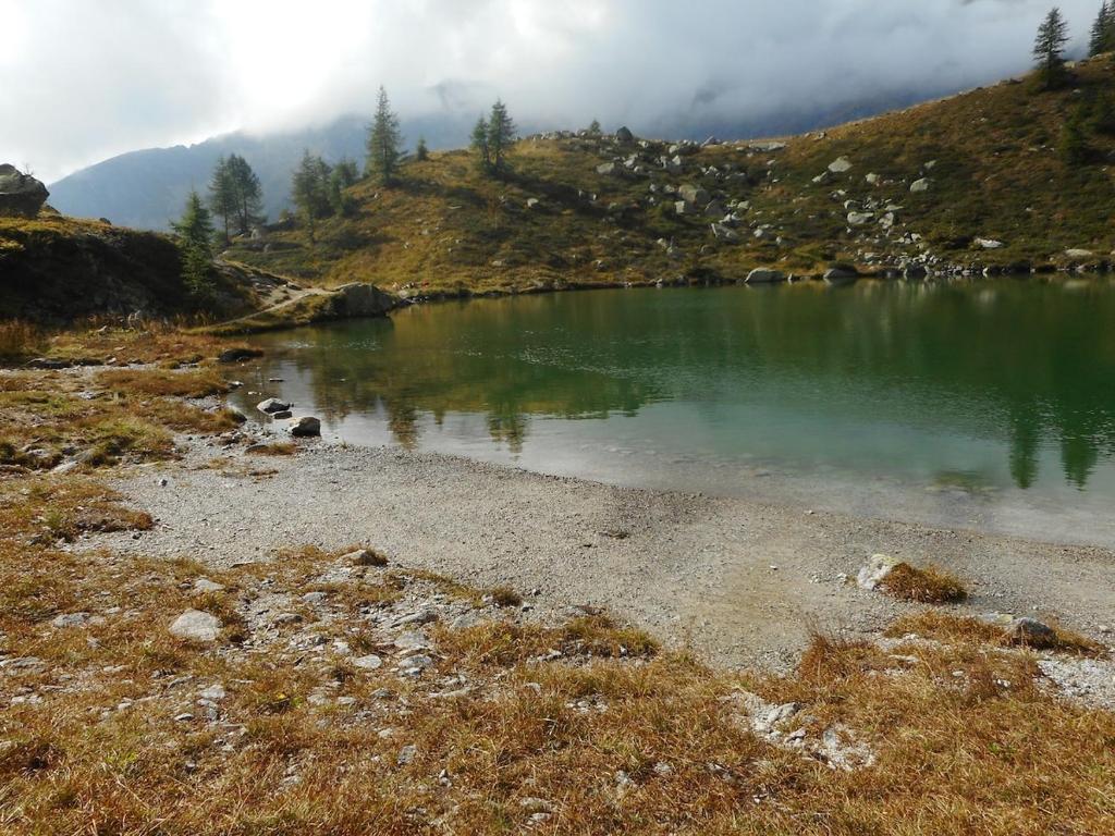 Mountain Escape Apartment Easy Access & Private Parking - 5