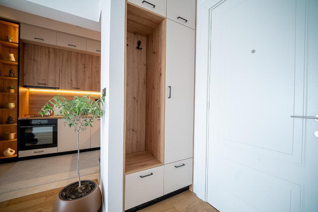 The Little Olive Apartment - 4