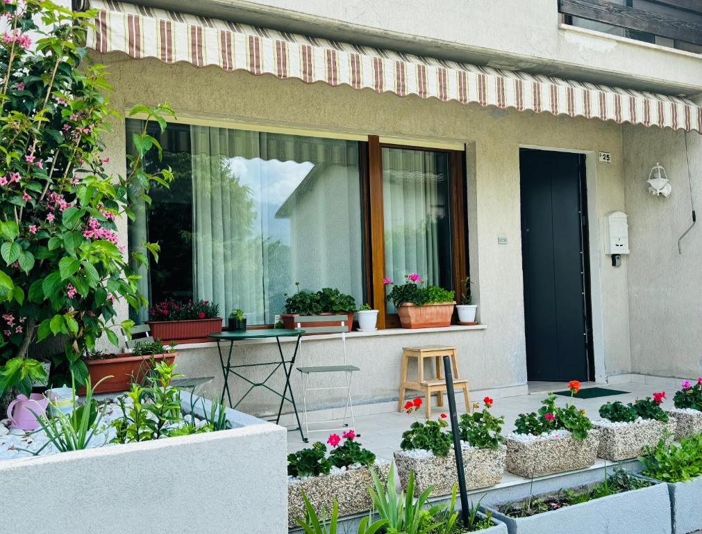 Green House Next - Lovely Apartment for family and Free Parking - 1