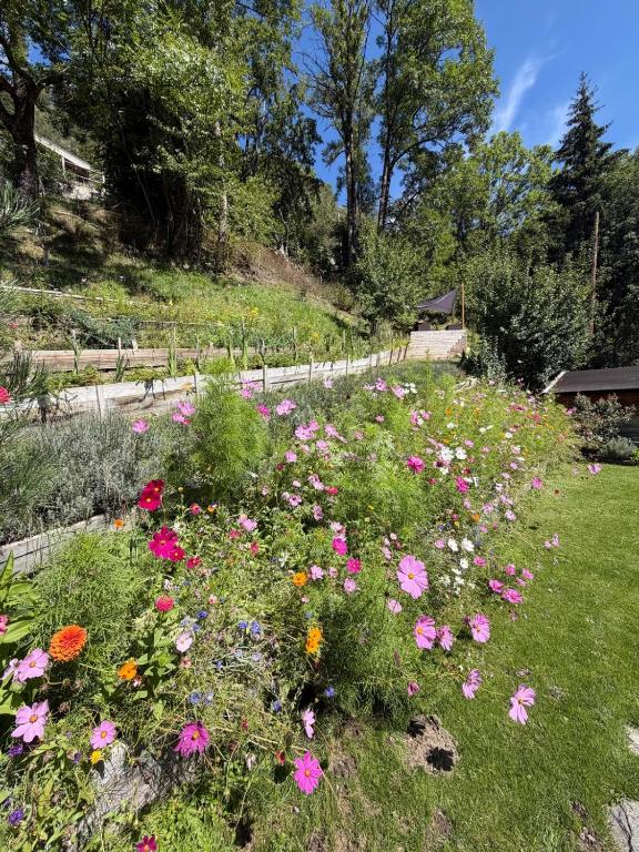 La Ferme d'Angele - 3