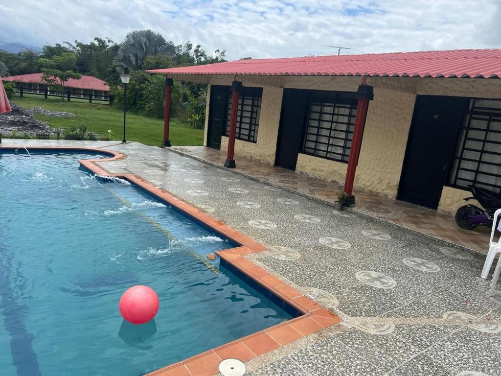 Villa Carolina- Piscina y tejo - 1