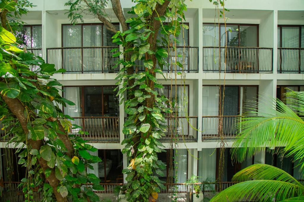 Living Bloom Concept Hotel Tulum - 3