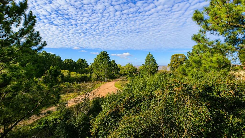 Los Pinos - 5