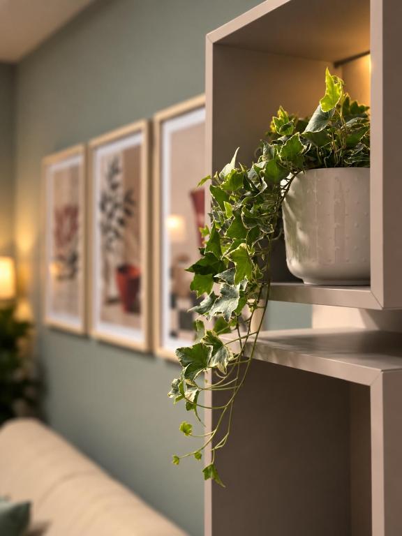 Napoli Living House - 4