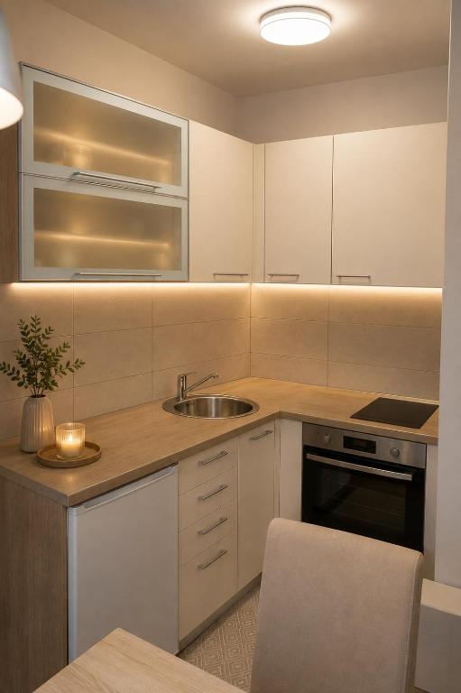 Vila Srna apartman 8 - 3