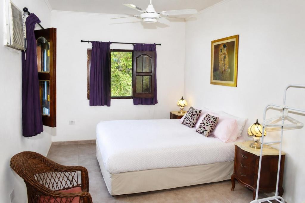 Tekoporã - Casa de 3 Hab con amplio Jardín y Piscina, Parrilla, WiFi, Parking - 5
