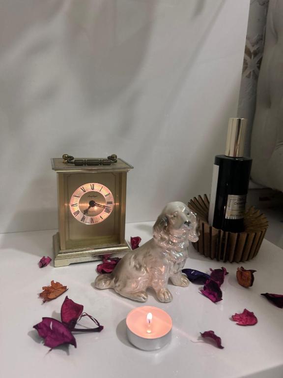Jacuzzi rooms Andjela White and Gold - 4