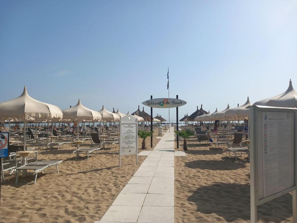 Il Cavalluccio Marino - 2