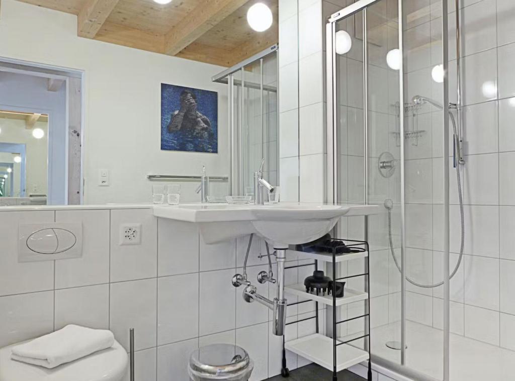 Megeve ski and montaign retreat v302lx - 4