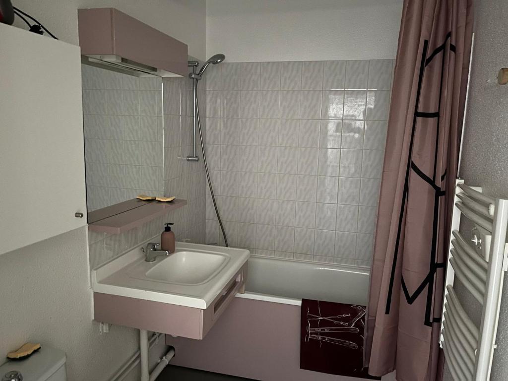 Studio cosy 2 pers, centre ville, WIFI, balcon, animaux admis - 3
