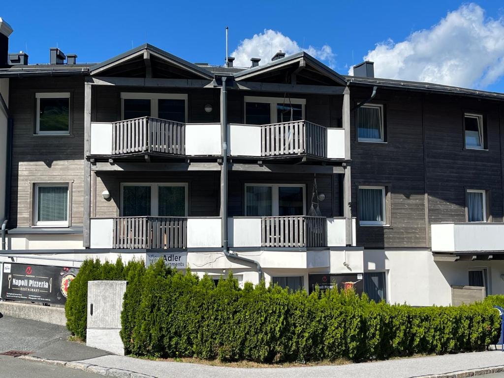 Apartment Lasch in Adler Resort including the Zell am see Kaprun summer card - 4