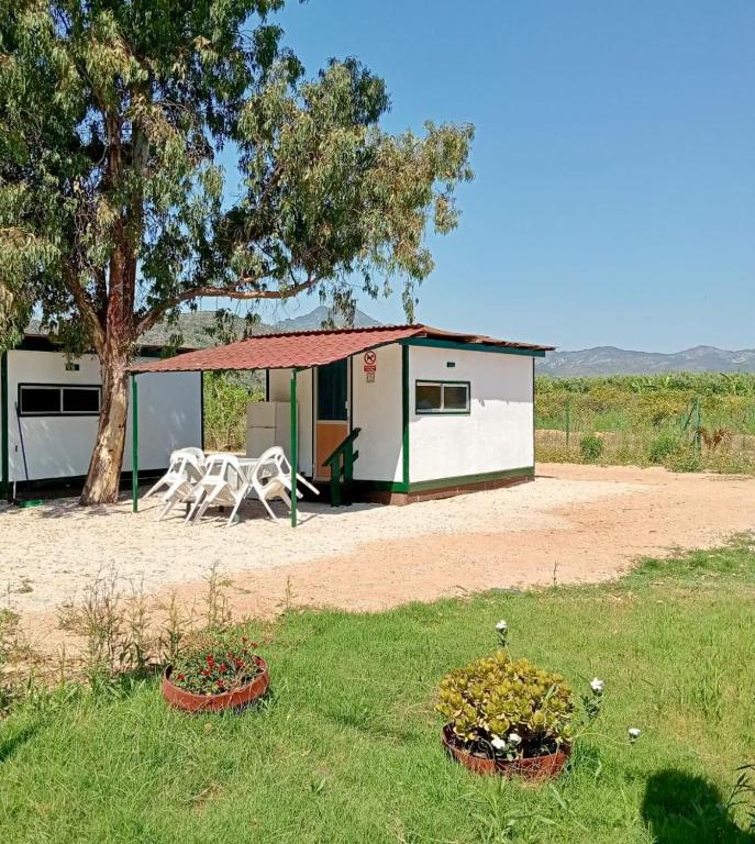 Camping la Naranja - 4