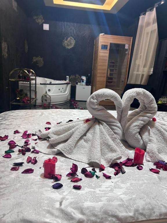 Jacuzzi rooms Andjela VIP Black Sauna - 1