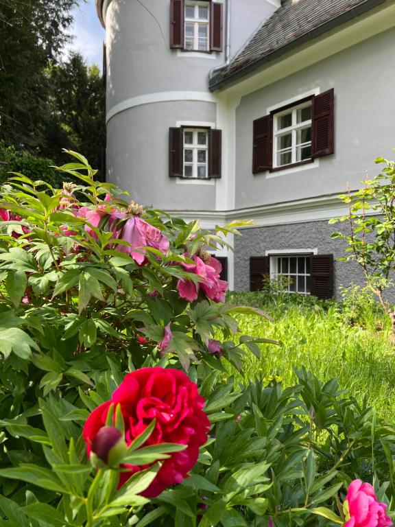 Villa Sturmberg - 1