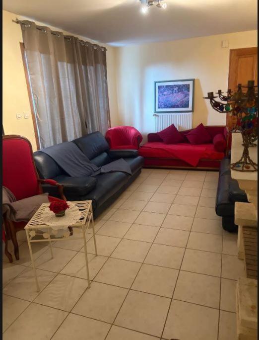 le chalet de la croisette - 5